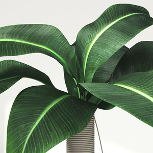 Torre de Escalada para <span class=keywords><strong>Gatos</strong></span> de 2 Niveles, Diseño de Árbol de Coco, Rascador de Sisal con Base Grande - Product Image 6