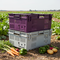 Caisse en plastique durable et écologique HAOSEN, empilable et emboîtable, pour la transformation alimentaire et l'emballage des légumes, légère