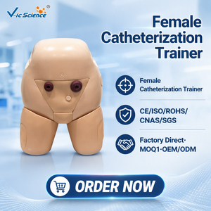 Modèle de cathéter pour organes génitaux féminins adultes avec vessie et urètre pour ressources pédagogiques en santé et formation CE ISO ROHS CNAS - Product Image 1