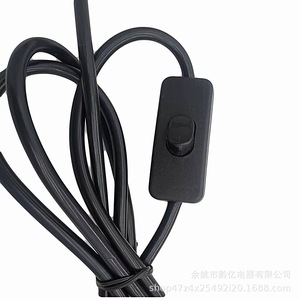 <b>E27</b> <b>Lamp</b> <b>Holder</b> 10A 250V Dual Outlet With Switch For Indoor Lighting - Product Image 4