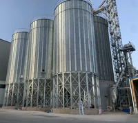 50 /100 /500/1000/5000 tonnellate di Silo di grano prezzi della macchina per il mais/caffè in grani Silo per uso agricolo tipo orizzontale di piccole/grandi dimensioni