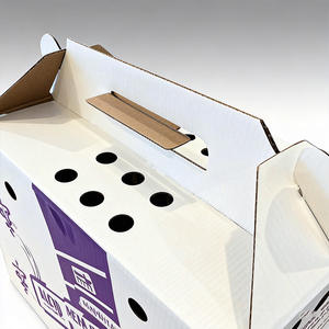 Nouvelle conception de boîte <span class=keywords><strong>d</strong></span>'emballage rigide recyclable pour fruits, en carton ondulé kraft, avec <span class=keywords><strong>d</strong></span>écoupe creuse, pour animaux - Product Image 2
