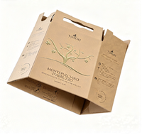 Vin rouge sec biologique Montepulciano D'Abruzzo DOC 3L en boîte BIB, vin de table italien