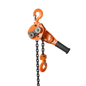 Lifting Chain Block 5 Ton X 10 M Pully Vital 3 Ton 5 Ton 7.5 Ton 10 Ton 15 Ton 25 Ton Lever Block Series