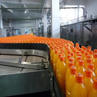 Machine de remplissage automatique complète Golden Machinery pour bouteilles en plastique et en verre de 200 ml (lait, jus de graines, jus d'aloe vera, jus de mangue, huile moteur)
