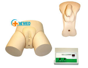 Model Urin Elektronik untuk Pengajaran Ilmu Kedokteran Model Kateterisasi Urin Manikin Pria dan Wanita - Product Image 2