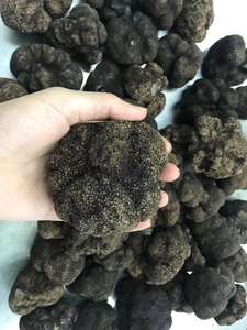 DETAN-DETAN 2021-2022, suministro para nueva temporada, gran textura, Tuber Indium, Negro salvaje, seta de trufa de invierno - Product Image 3