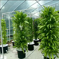 Système hydroponique vertical de jardin de tour aéroponique