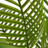 Palmier artificiel courbé de haute qualité de Dubaï, en plastique, résistant aux UV, écologique, vert, 150 cm, pour décoration extérieure