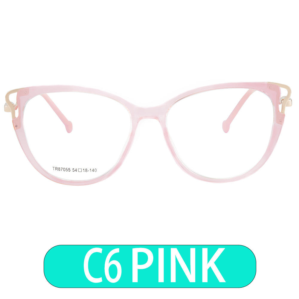 Cadre transparent de poudre Tr90-c6