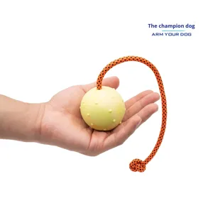 Balle <span class=keywords><strong>d</strong></span>'entraînement en toile <span class=keywords><strong>pour</strong></span> <span class=keywords><strong>chien</strong></span> factice Jouet interactif <span class=keywords><strong>pour</strong></span> animaux de compagnie Balle à mâcher robuste <span class=keywords><strong>pour</strong></span> l'entraînement à l'<span class=keywords><strong>obéissance</strong></span> - Product Image 4