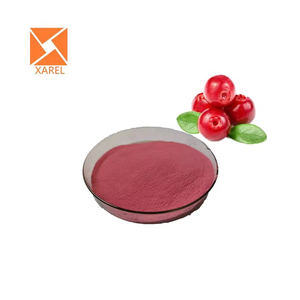 Bubuk buah Cranberry organik bubuk Cranberry beku bubuk kering jus Cranberry - Product Image 3