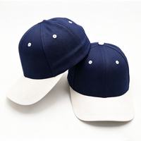 Sportieve geborduurde bedrukte tweekleurige 6-delige verstelbare baseballcaps groothandel effen heren pet op maat gemaakte katoenen baseballcap