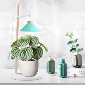 J & C Minigarden Đế Gỗ Điều Chỉnh Độ Cao 9W Bộ Dụng Cụ Trồng Xương Rồng Bộ Dụng Cụ Cho Người Mới Bắt Đầu Vườn Thảo Mộc Thân Thiện Với Môi Trường - Product Image 6