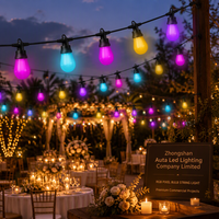 WS2814A RGB Lampu Pixel String Light APP Pengubah Warna Impian untuk Liburan, Pernikahan, Pesta, Dekorasi Luar Ruangan, Grosir Rantai Lampu