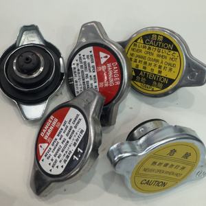 25330-3K000 25330-38001 25330-33001 253300L000 253301P000 253301R000 Tutup Tangki Ekspansi Mesin Mobil untuk Hyundai Kia - Product Image 5