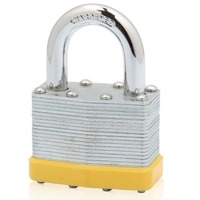 Cadenas en acier inoxydable laminé 50 mm, résistant aux intempéries, étanche, antirouille, avec anse renforcée, à clé, pour portail, clôture, extérieur, vente en gros