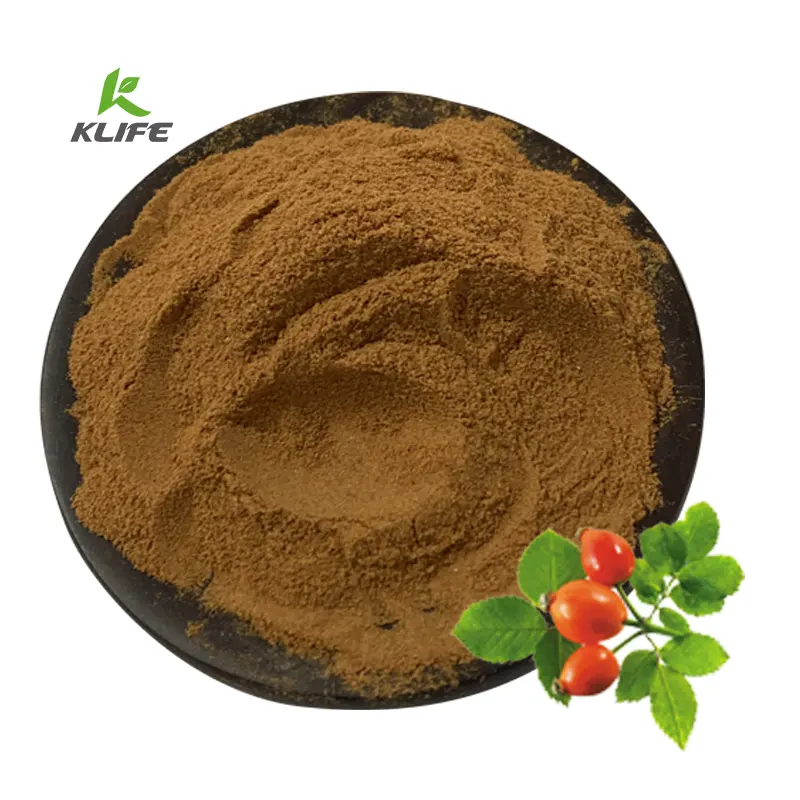 Factory Supply Wholesale Bulk Price Rose Hip Extract Vitamin C 10% With Low Price