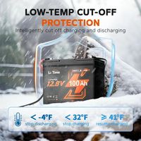 Baterai LiTime 12V 100Ah Group24 LiFePO4 dengan Bluetooth dan Proteksi Suhu Rendah untuk RV, Motor Trolling Kapal, dan Sistem Tenaga Surya