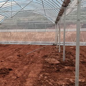 2025 Invernadero usado comercial barato usado Multi Span para cultivar rosas a la venta - Product Image 5