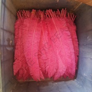 Plumas de Avestruz <span class=keywords><strong>Nando</strong></span> Recortadas de 55-60 cm, Disponibles en Cualquier Color, de la Mejor Calidad para Decoraciones de Carnaval y Accesorios de Disfraces - Product Image 5