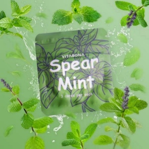 Alternativa al Vape, Inalatore Senza Nicotina con Estratti Erboristici, Dispositivo Portatile, Fabbrica OEM ODM - Product Image 6