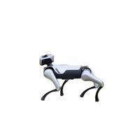 MagicLabs MagicDog PRO Robot Chien Bionique IA avec Caméra 4K, LiDAR, Suivi Intelligent, Évitement d'Obstacles Tout-Terrain et Programmation Graphique