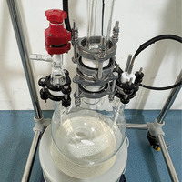 Réacteur de distillation en verre de 5 L avec manteau chauffant électrique, en verre borosilicate