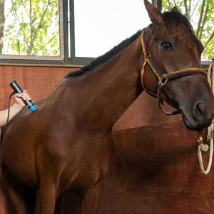 Machine de thérapie par ondes de choc extracorporelles vétérinaires Soulagement de la douleur des animaux pour une utilisation en clinique - Product Image 6