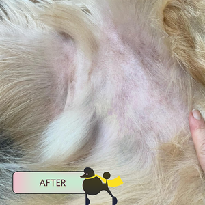 Baume de soin naturel pour la peau et les griffes pour chien et chat-Apaise renforce et protège des points chauds Démangeaisons et irritations-1.75 oz - Product Image 3