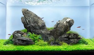 OEM Aquascaping Substraat Aquarium Bodem Aquatische Planten Bodem Amazonia Aquasoil voor Plantentank - Product Image 6