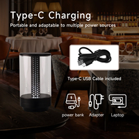 Lampe de chevet LED rechargeable Lampe de bureau d'ambiance romantique aux chandelles Table à manger portable Bougie de camping en plein air