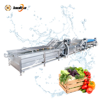 Machine industrielle de nettoyage des fruits et légumes, laveuse à bulles pour carottes, tomates, légumes-feuilles et radis