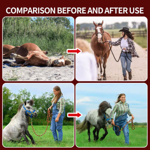 Perangkat terapi kuda cahaya merah selimut terapi untuk tubuh kuda - Product Image 4