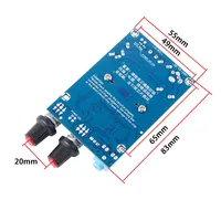 Amplificateur audio numérique mono TPA3116D2 DC12-DC24V, carte d'amplification de puissance pour subwoofer, pour l'audio domestique, les haut-parleurs de voiture et le développement DIY
