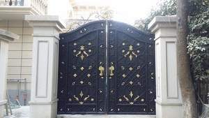 Portails, clôtures et treillis de luxe pour maisons, avec motifs de grille et petites photos, pour façades et murs composés, dernières nouveautés - Product Image 4