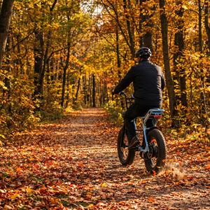 Vélo électrique rétro à pneus larges Autumn Trail avec suspension avant, idéal pour les balades en forêt en toute saison - Product Image 6