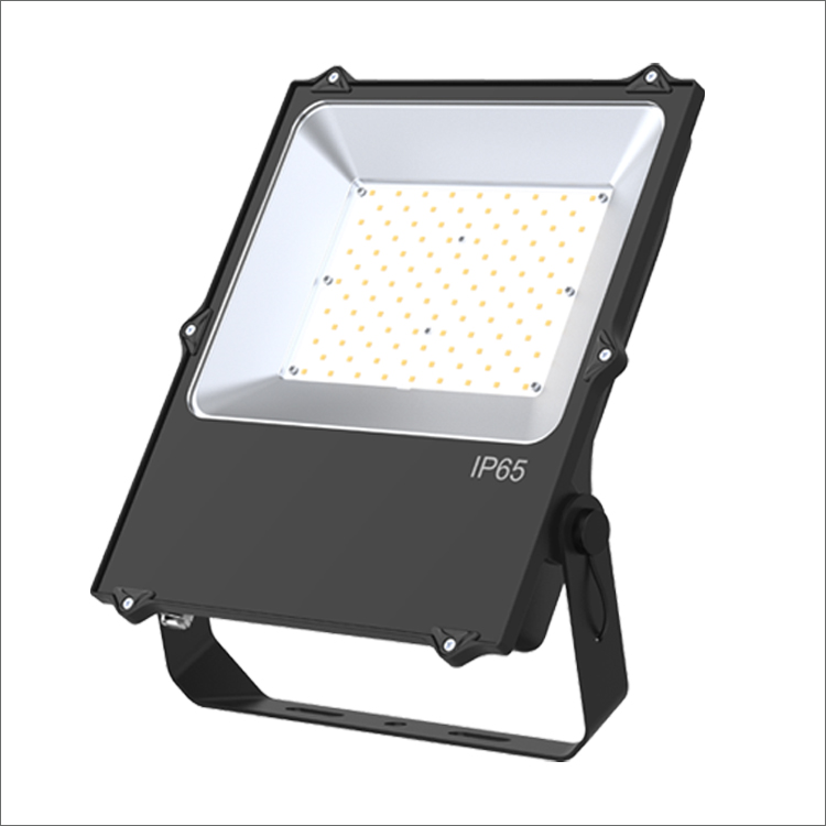 OEM высокая эффективность CE RoHS IP65 садовая лампа 50 Вт 80 Вт 100 Вт 150 Вт 200 Вт наружное светодиодное прожекторное освещение