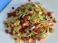 OEM campur buah kering Crisp vakum Cina goreng buah kering Vegetbales 7 berbeda renyah beku buah kering makanan ringan campuran