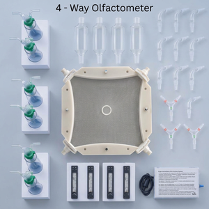 Olfactomètre à 4 voies pour insectes à griffes avec grille en acier inoxydable - Product Image 3