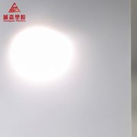 Feuille/panneau/plaque de cheminée de diffuseur ABS de PC PS givré par opale personnalisée résistante à la lumière UV élevée pour la lumière LED
