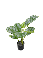 Plantes artificielles en plastique de la marque TREESMAS, feuilles de Calathea, couleur verte et blanche, pour usage intérieur/extérieur, XPZ007