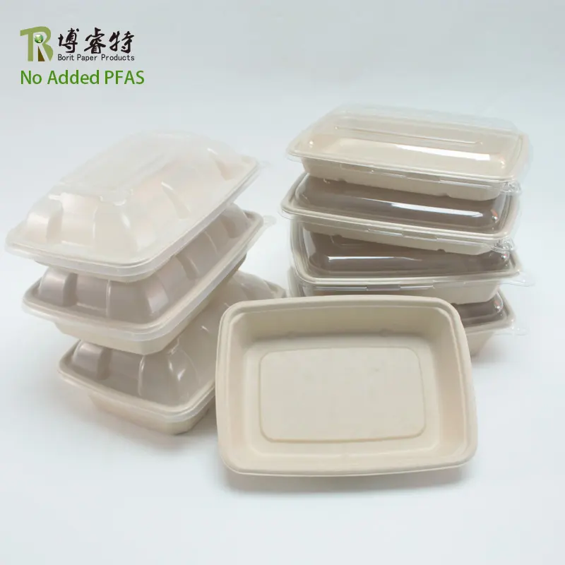 No Added Pfas Disposable Biodegradable Fast Food Pulp Container Rectangle Bagasse Salad Bowl