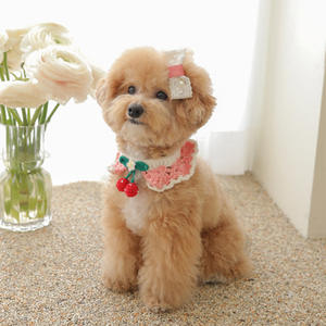 Collar falso desmontable para perro, - Product Image 6