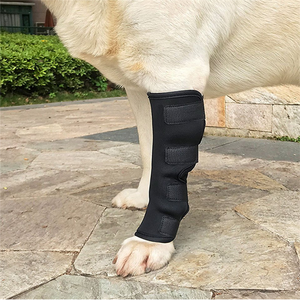 Attelle de genou pour chien, attelle de soutien flexible à charnières métalliques, traitement de la luxation de la rotule, entorse du <span class=keywords><strong>ligament</strong></span> croisé - Product Image 6