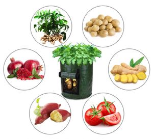 Sac de plantation de pommes de terre en PE pour jardin, sac de culture de légumes, sac de culture de pommes de terre et légumes - Product Image 6