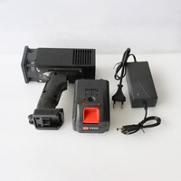 Lámpara de Curado UV LED Inalámbrica, Probador de Pintura Automotriz, Portátil, Recargable, OEM RD105, Herramienta de Detección de Defectos, 1 Año de Garantía