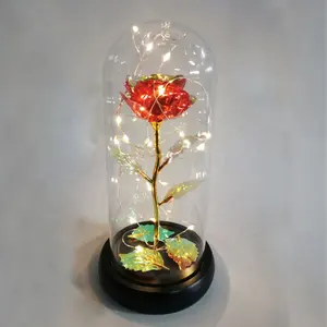 Fabricage Groothandel Valentines Dag Gift Kunstmatige Bloemen Plastic Gedroogde Bloemen Glas Dome Custom Met Led Licht