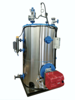 Chaudière à vapeur multi-combustibles (chaudière à eau chaude), capacité d'évaporation personnalisable, large gamme d'applications
