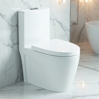 WC moderne en céramique Toilette monobloc articles sanitaires de gros pour une utilisation en appartement